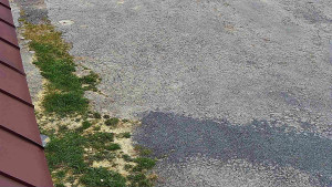 SkiAreál - Horský hotel Vsacký Cáb - Nástup na běžecké tratě - 26.4.2026 v 10:31 SkiAreál - Horský hotel Vsacký Cáb - Nástup na běžecké tratě - 26.4.2026 v 10:31