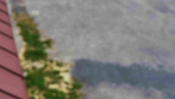 Nástup na běžecké tratě