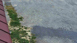 Nástup na běžecké tratě