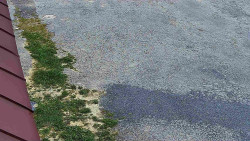 Nástup na běžecké tratě