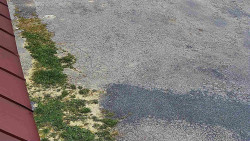 Nástup na běžecké tratě