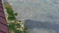 Nástup na běžecké tratě