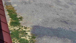 Nástup na běžecké tratě