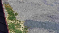 Nástup na běžecké tratě