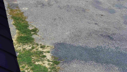 Nástup na běžecké tratě