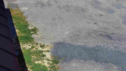 Nástup na běžecké tratě