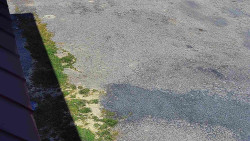 Nástup na běžecké tratě