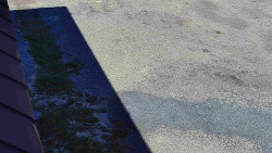 Nástup na běžecké tratě