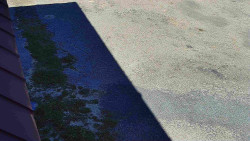 Nástup na běžecké tratě