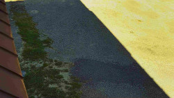 Nástup na běžecké tratě