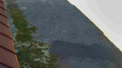 Nástup na běžecké tratě