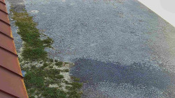 Nástup na běžecké tratě