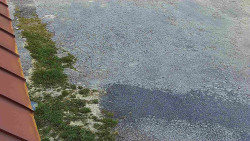 Nástup na běžecké tratě