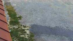 Nástup na běžecké tratě