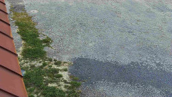 Nástup na běžecké tratě