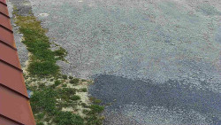 Nástup na běžecké tratě