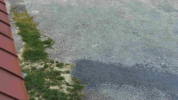 Nástup na běžecké tratě