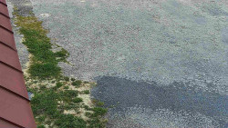 Nástup na běžecké tratě