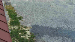 Nástup na běžecké tratě