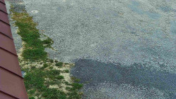 Nástup na běžecké tratě