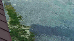 Nástup na běžecké tratě