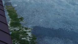 Nástup na běžecké tratě