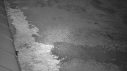 Nástup na běžecké tratě