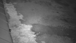 Nástup na běžecké tratě