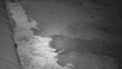 Nástup na běžecké tratě