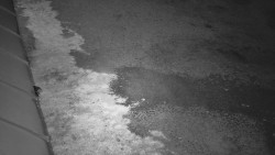 Nástup na běžecké tratě