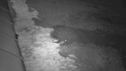 Nástup na běžecké tratě