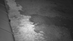 Nástup na běžecké tratě