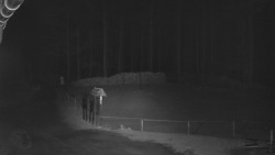 Nástup na běžecké tratě