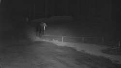 Nástup na běžecké tratě