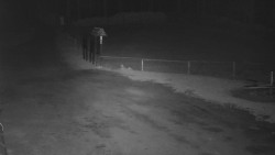 Nástup na běžecké tratě