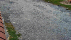 Nástup na běžecké tratě