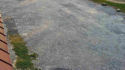 Nástup na běžecké tratě