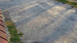 Nástup na běžecké tratě