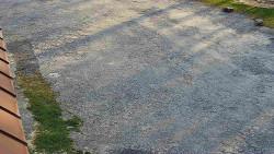 Nástup na běžecké tratě