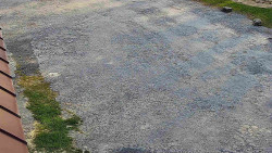 Nástup na běžecké tratě