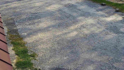 Nástup na běžecké tratě