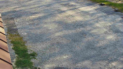 Nástup na běžecké tratě