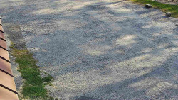 Nástup na běžecké tratě