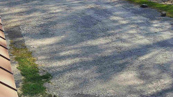 Nástup na běžecké tratě