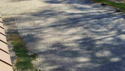 Nástup na běžecké tratě