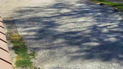 Nástup na běžecké tratě