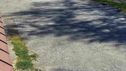 Nástup na běžecké tratě