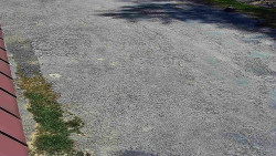 Nástup na běžecké tratě