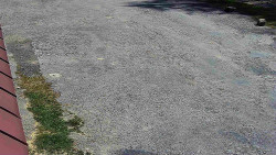 Nástup na běžecké tratě