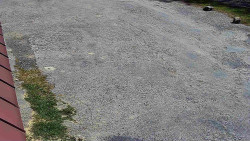 Nástup na běžecké tratě